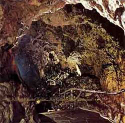 Deinonychus : After the Rain Falls an Empty Sky Remains